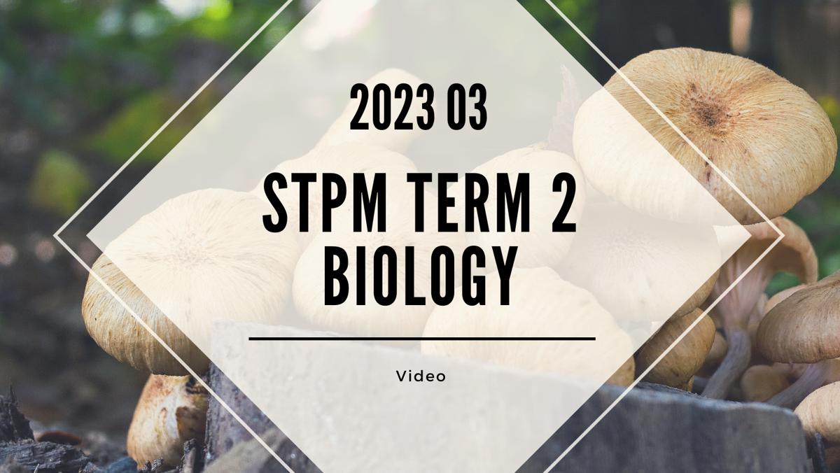 S2 Biology (TK Leong) [Video Until Exam] - 2023 03