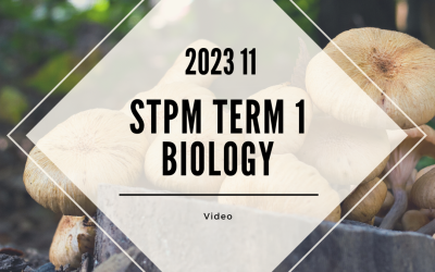 S1 Biology (TK Leong) [Video Until Exam] – 2023 11