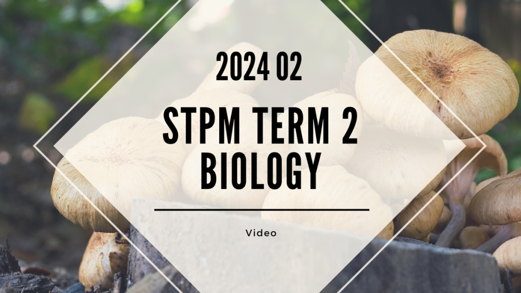 S2 Biology (TK Leong) [Video Until Exam] - 2024 02