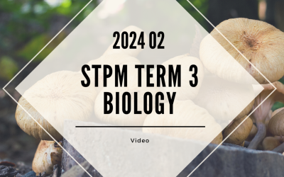 S3 Biology (TK Leong) [Video Until Exam] – 2024 02