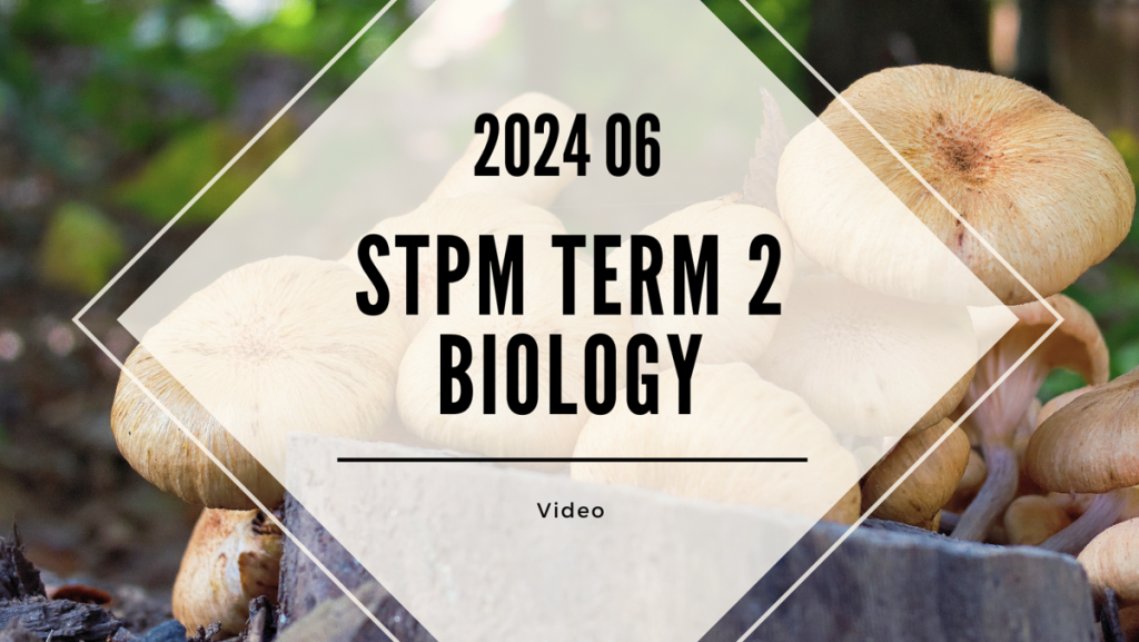 S2 Biology (TK Leong) [Video Until Exam] - 2024 06