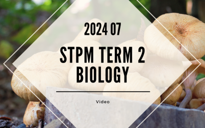 S2 Biology (TK Leong) [Video Until Exam] – 2024 07