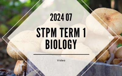 S1 Biology (TK Leong) [Video Until Exam] – 2024 07