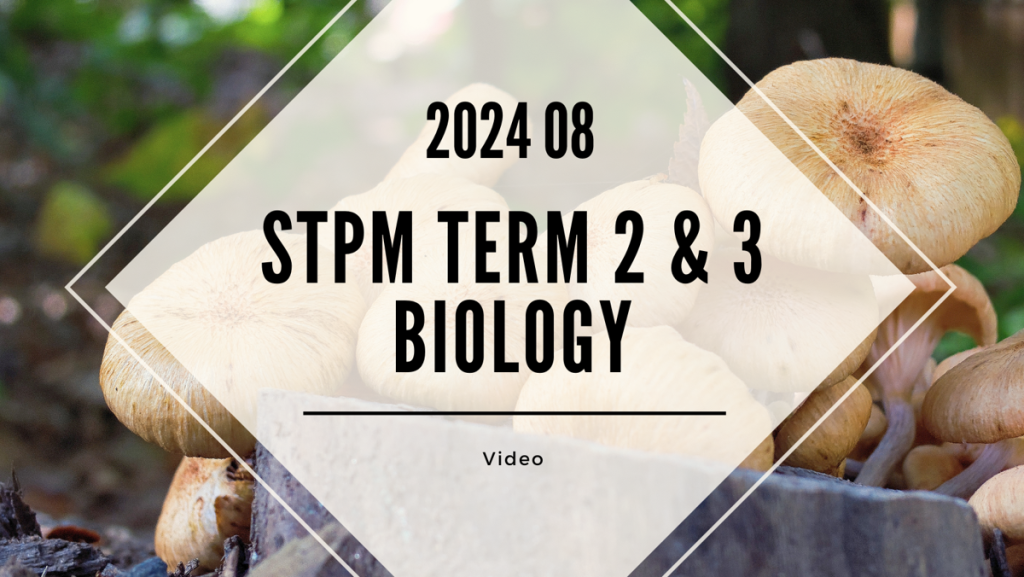 S2 Biology (TK Leong) [Video Until Exam] - 2024 08