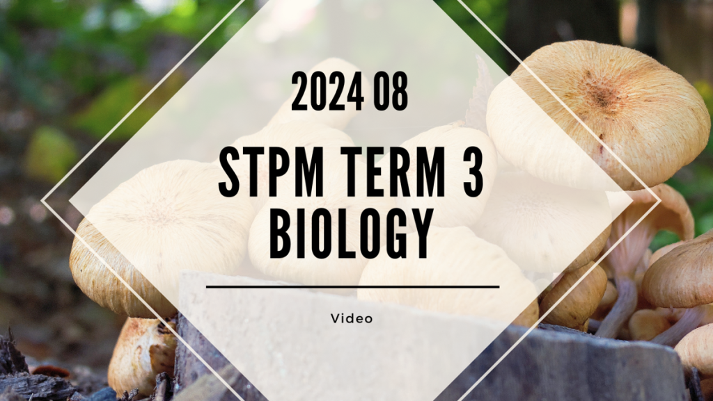 S3 Biology (TK Leong) [Video Until Exam] - 2024 08