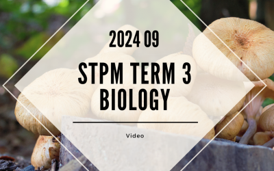 S3 Biology (TK Leong) [Video Until Exam] – 2024 09