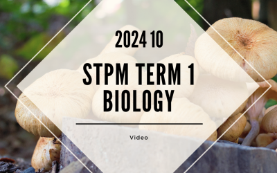 S1 Biology (TK Leong) [Video Until Exam] – 2024 10