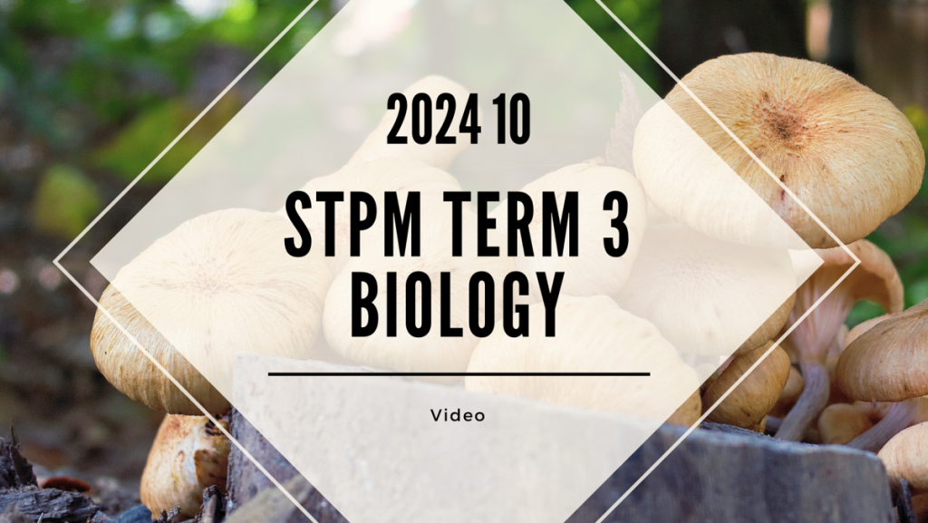 S3 Biology (TK Leong) [Video Until Exam] - 2024 10