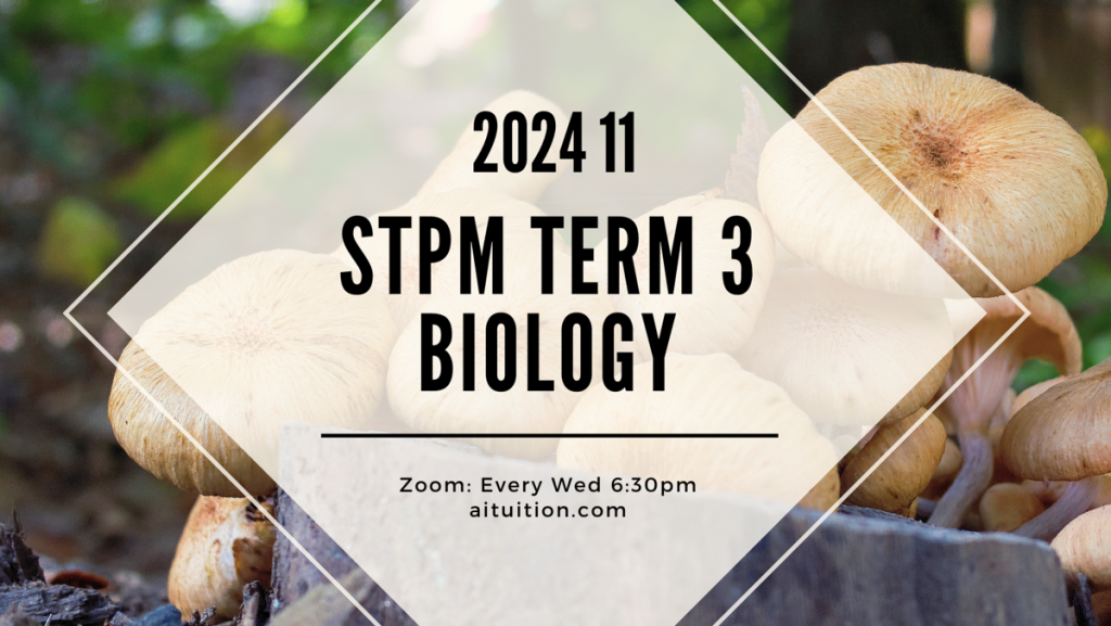 S3 Biology (TK Leong) [Online] - 2024 11