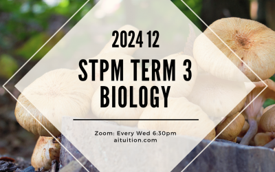 S3 Biology (TK Leong) [Online] – 2024 12