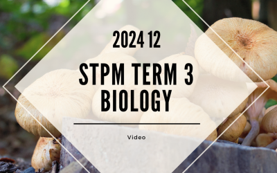 S3 Biology (TK Leong) [Video Until Exam] – 2024 12