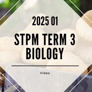 S3 Biology (TK Leong) [Video Until Exam] - 2025 01