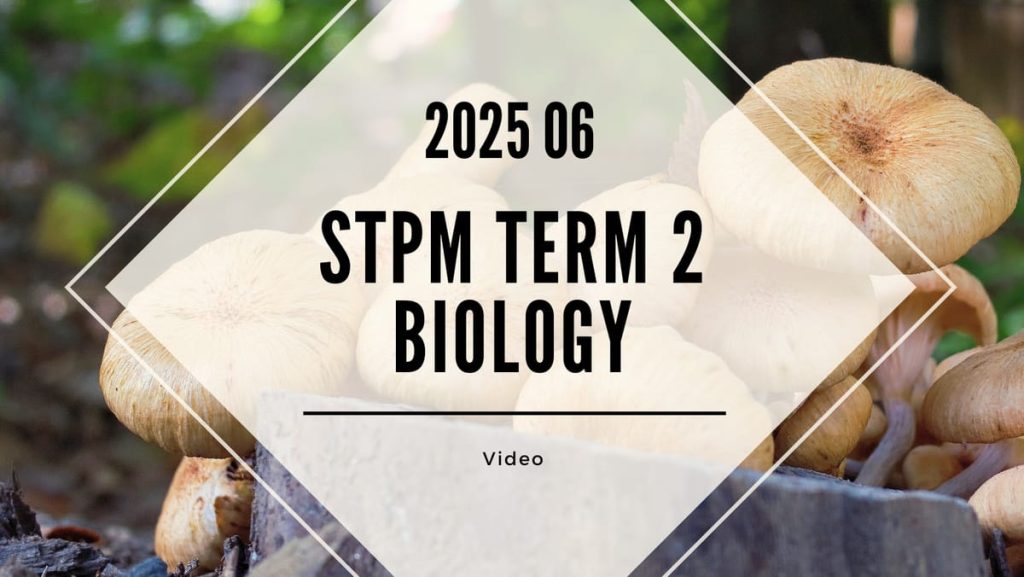 S2 Biology (TK Leong) [Video Until Exam] - 2025 06
