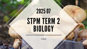 S2 Biology (TK Leong) [Video Until Exam] – 2025 07
