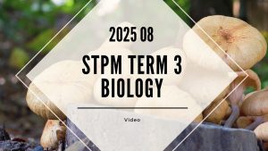 S3 Biology (TK Leong) [Video Until Exam] – 2025 08