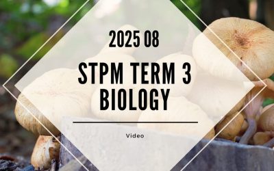 S3 Biology (TK Leong) [Video Until Exam] – 2025 08