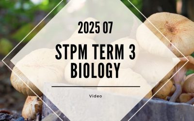S3 Biology (TK Leong) [Video Until Exam] – 2025 07